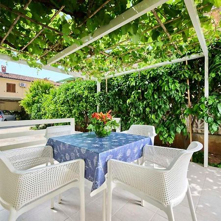 Apartman Ema Novigrad Istria 外观 照片