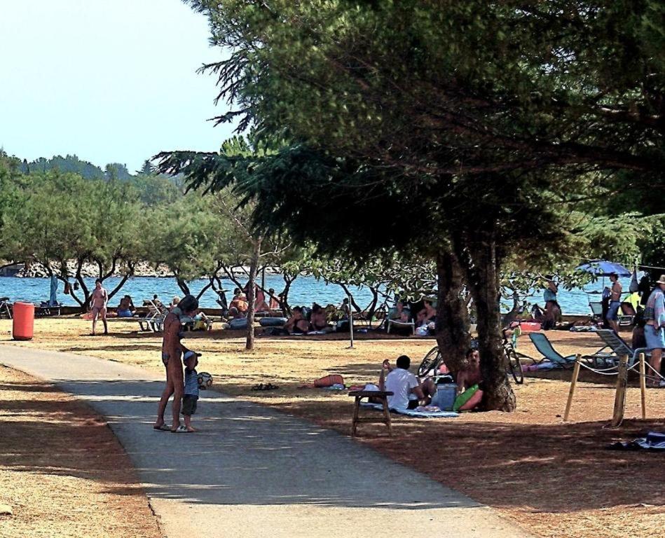 Apartman Ema Novigrad Istria 外观 照片